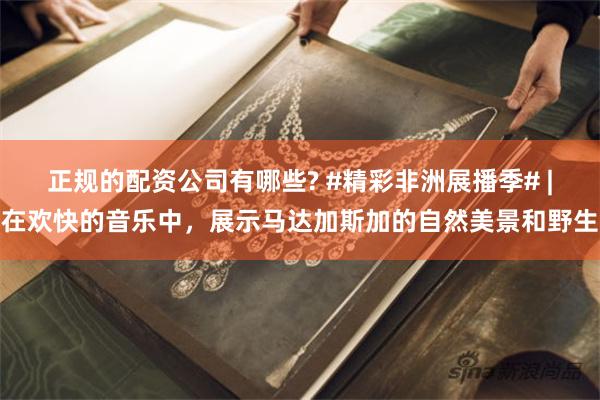 正规的配资公司有哪些? #精彩非洲展播季# |在欢快的音乐中，展示马达加斯加的自然美景和野生