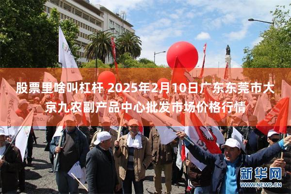 股票里啥叫杠杆 2025年2月10日广东东莞市大京九农副产品中心批发市场价格行情