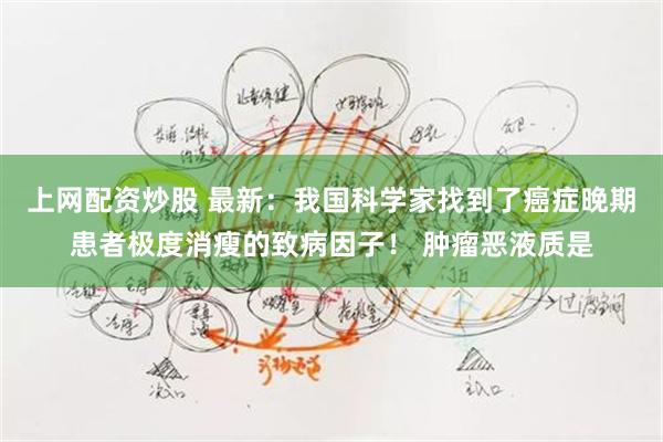 上网配资炒股 最新：我国科学家找到了癌症晚期患者极度消瘦的致病因子！ 肿瘤恶液质是