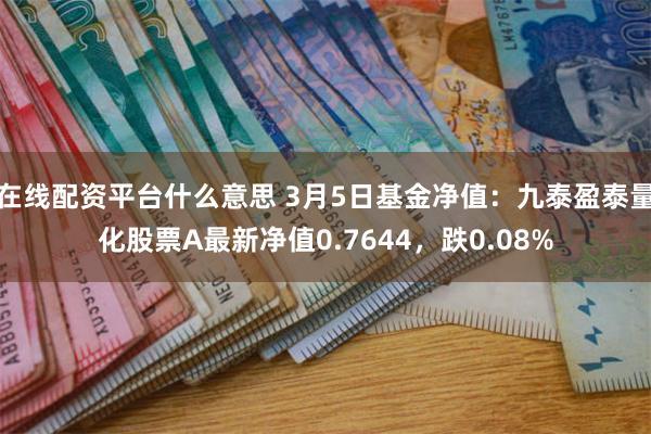 在线配资平台什么意思 3月5日基金净值：九泰盈泰量化股票A最新净值0.7644，跌0.08%