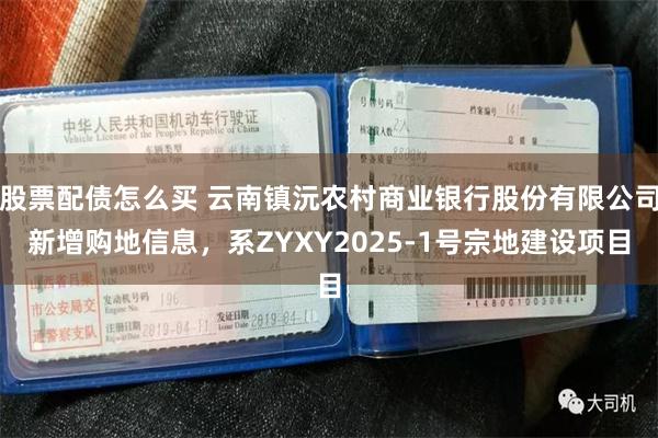 股票配债怎么买 云南镇沅农村商业银行股份有限公司新增购地信息，系ZYXY2025-1号宗地建设项目